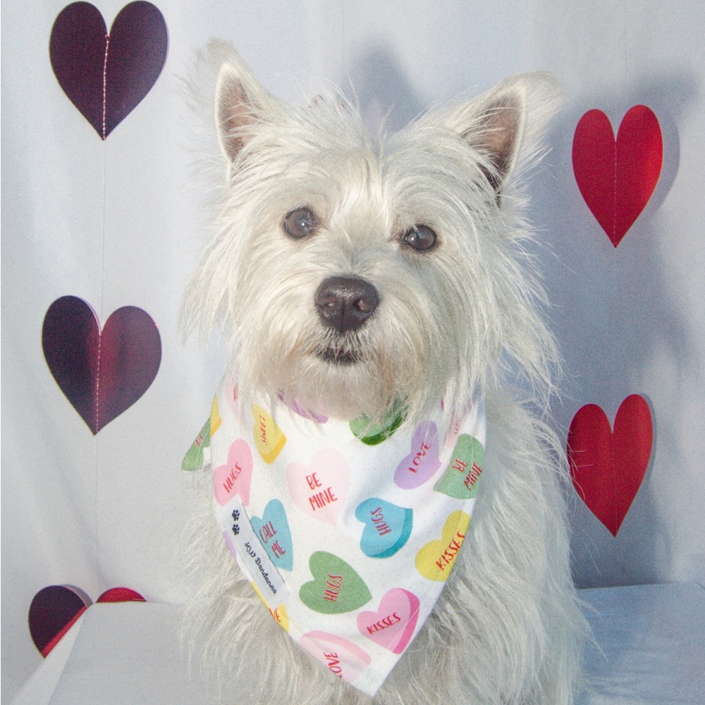 KW Bandanas candy heart bandana